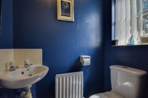 Photo 15- click for photo gallery